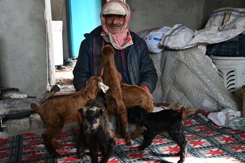 Vanlı besici, 9 yıldır Şırnak’taki Faraşin Yaylası’nda hayvanlarıyla yaşıyor