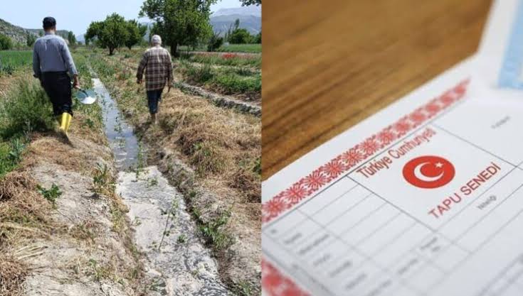 Boş tarlaları devlet izinsiz kiralayacak